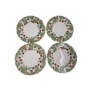 Royal Stafford Fine Earthenware Dinner  Plates Set Of 4 Wildberry Design 11”